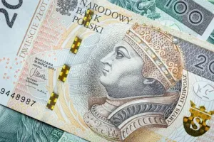 Problem z ubezpieczycielem? Sprzedaj swoją szkodę OC!